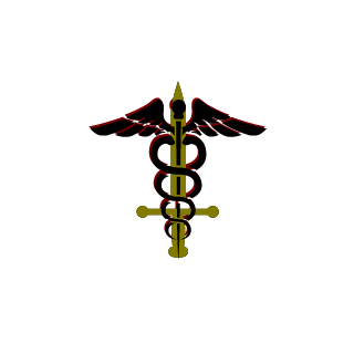 CursedBlizzard's emblem