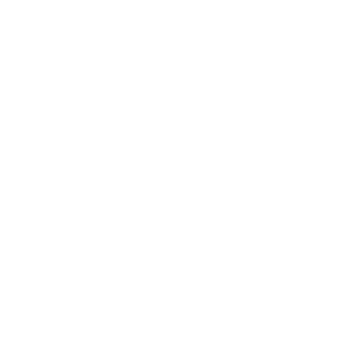 carlos_camargo's emblem