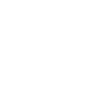 MT351's emblem