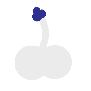 1ceP1ck1389's emblem