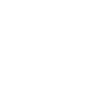 LegionerDZ's emblem