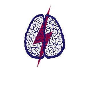 Dlight3141's emblem