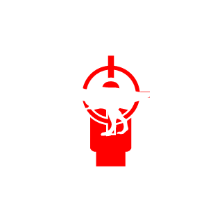 DINGNIZHEN86's emblem