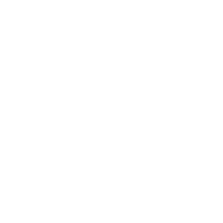 stanwex's emblem