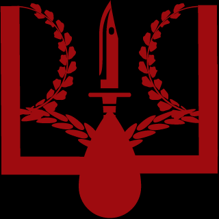 3xplici7's emblem