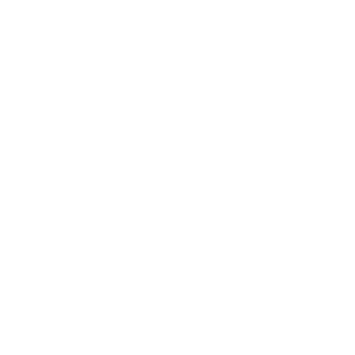 PECHENEG173's emblem