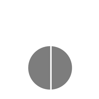 Brunotfs's emblem