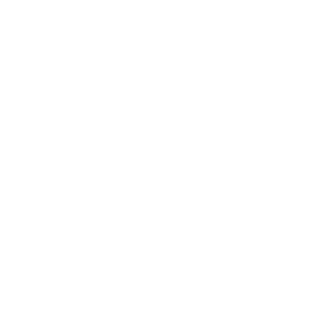 XxSaSkixX's emblem
