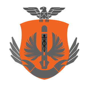 BlackVirus019's emblem