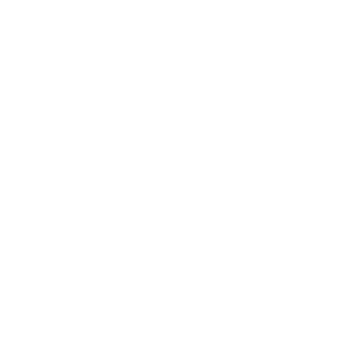 xDjLucasCruelBRx's emblem