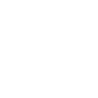ZNG_262's emblem