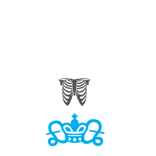 stefan0id's emblem
