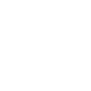 NFxDaNy's emblem