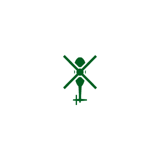 RusIvanEst's emblem