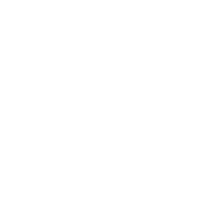 osa9000pl's emblem