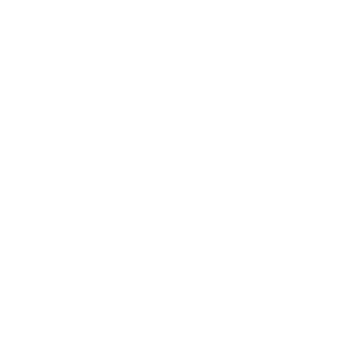 chrisszzin's emblem