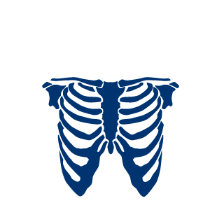 pzo0506's emblem