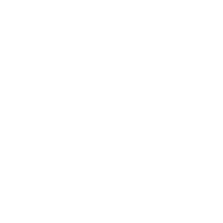 NUSCLI's emblem