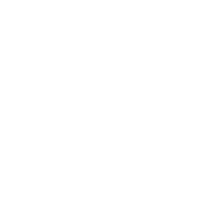 910L's emblem