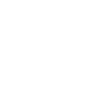 A0don's emblem