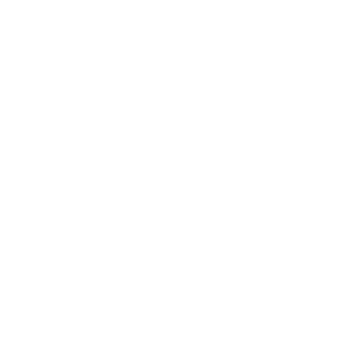 ElectroBerry147's emblem