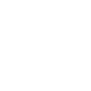 sayork's emblem