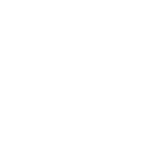 Metzker_BR's emblem