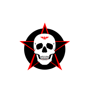SaldivarBR's emblem