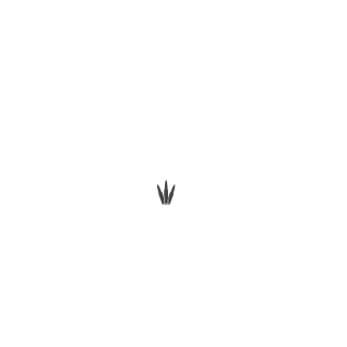 Chucky9897's emblem