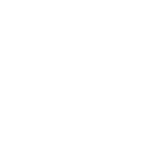 FxkinSyse's emblem