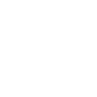Silver_Light818's emblem
