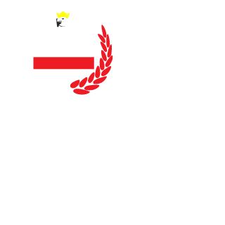 SlapsonPlayGames's emblem
