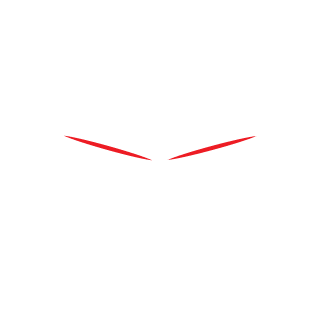 3T-Young's emblem