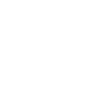 TyFoxy's emblem