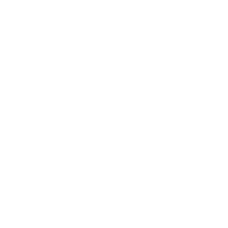 DigitalSoldier_Q's emblem