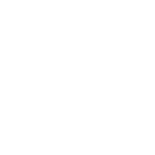 Pendulum1889's emblem
