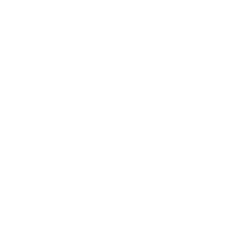 Okami0100's emblem