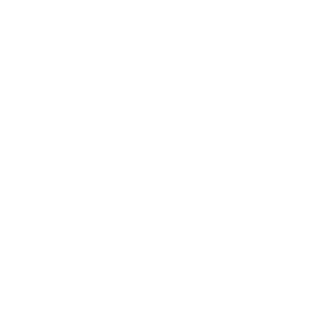 shanesz's emblem