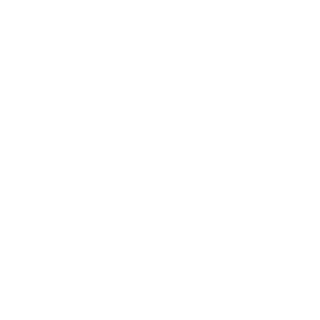 Dix_out_69's emblem