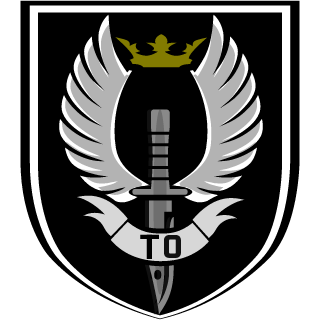 Saint9569's emblem