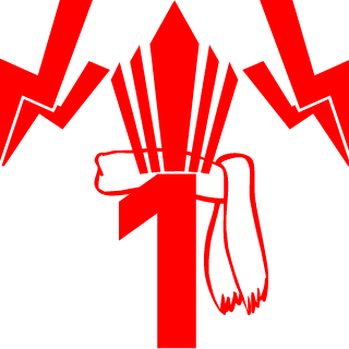 Draakinn's emblem
