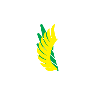apm555211's emblem