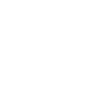 Mister2x4's emblem