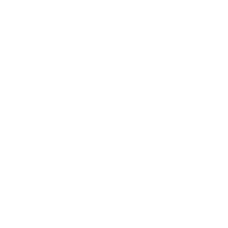 VanDamM_Ivanhoe's emblem