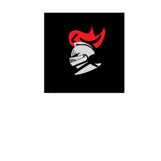 SIR-Owl's emblem