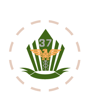 A4n20's emblem