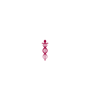 zargs2's emblem