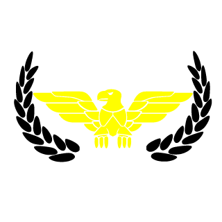 N1KKI250's emblem