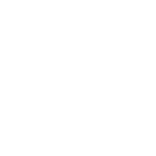 Algorithmic224's emblem