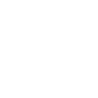 Paralyweyyy's emblem